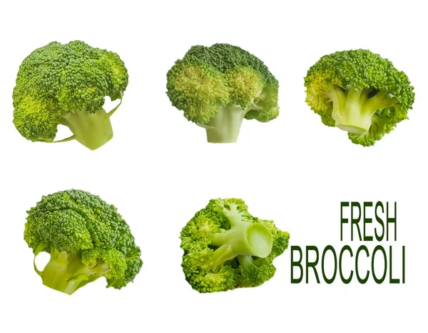 Broccoli Isolated White Background — Stock Photo, Image