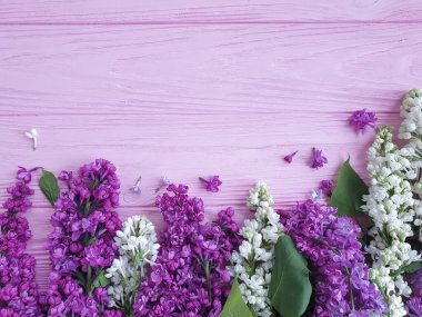 Ahşap bir arkaplanda leylak çiçeği