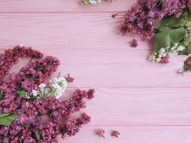 Ahşap bir arkaplanda leylak çiçeği