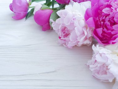 Çerçeve ahşap arka planda şakayık çiçeği