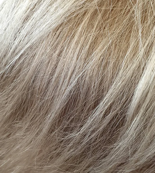 Blond Włosy Zbliżenie Tło — Zdjęcie stockowe