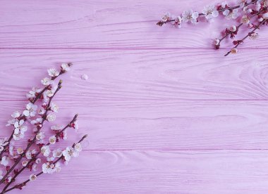 Tahta bir arka planda çiçek açan kiraz.