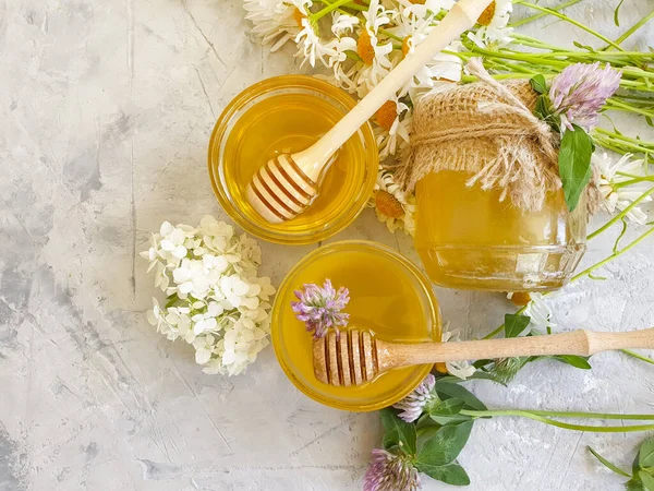 Färsk Honung Tusensköna Blomma Klöver Betong Bakgrund — Stockfoto