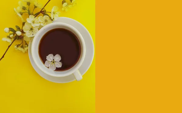 Blühende Kirsche Eine Tasse Kaffee Auf Farbigem Hintergrund — Stockfoto