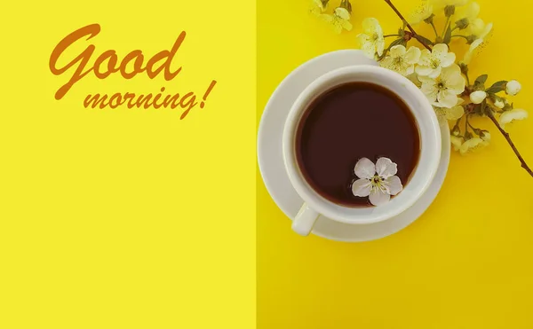 Цветущая Вишня Чашка Кофе Цветном Фоне — стоковое фото