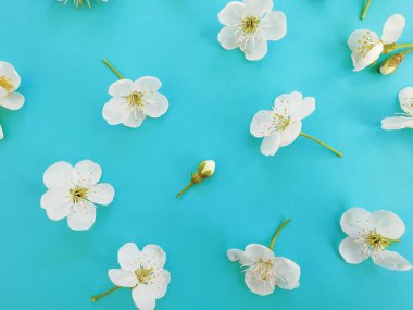 Renkli arkaplanda çiçek açan kiraz deseni