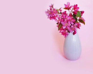 renkli arkaplanda manolya çiçeği