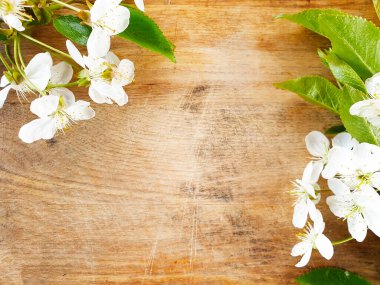 Güzel kiraz çiçeği eski ahşap arka planda