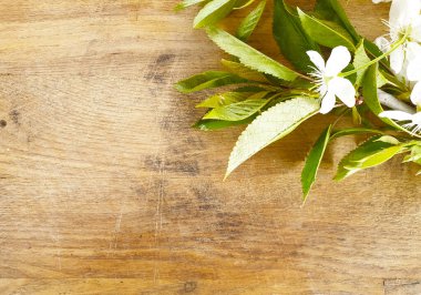 Güzel kiraz çiçeği eski ahşap arka planda