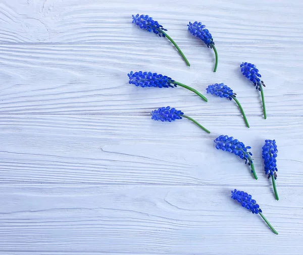 Mooie Bloem Houten Achtergrond — Stockfoto