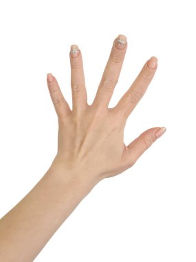 Beyaz arka planda izole edilmiş bir kadın el.