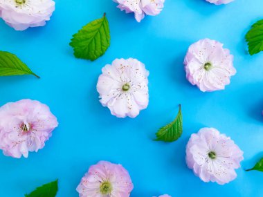 Renkli bir arka planda çiçek açan