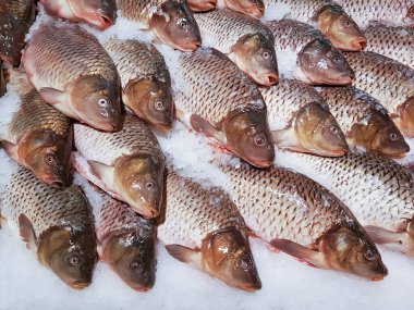 Tezgahta buzda donmuş balık.