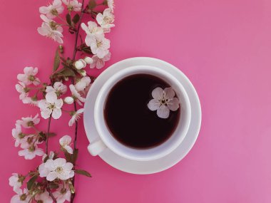Renkli arka planda kiraz çiçeği açan bir fincan kahve.