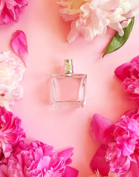 Parfüm Virág Bazsarózsa Egy Színes Háttér — Stock Fotó