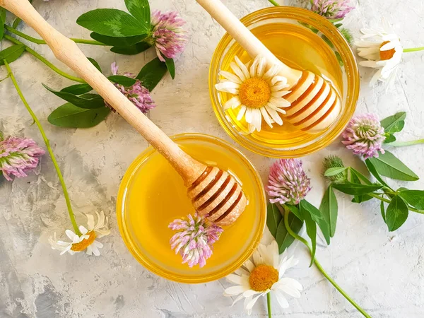 Färsk Honung Tusensköna Blomma Betong Bakgrund — Stockfoto