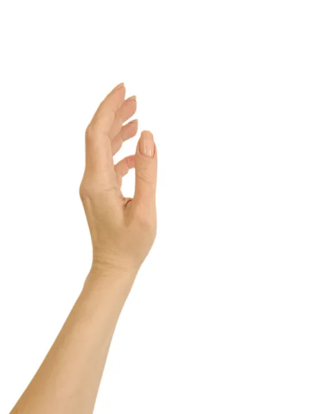 Manicure Bege Mão Feminina Isolado Fundo Branco — Fotografia de Stock