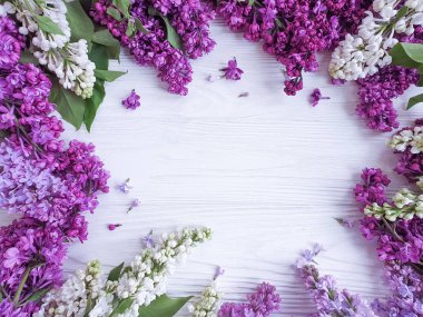 Ahşap bir arkaplanda leylak çiçeği