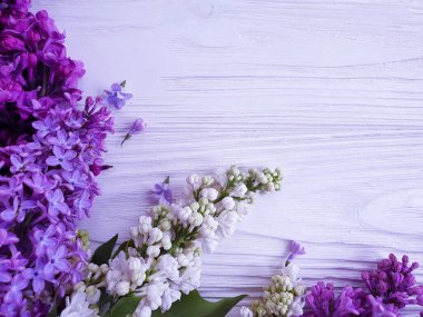 Ahşap bir arkaplanda leylak çiçeği