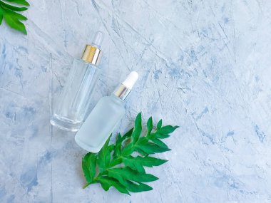 Kozmetik serumu, beton zeminde yeşil yaprak