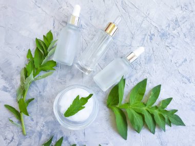 Kozmetik serumu, beton zeminde yeşil yaprak