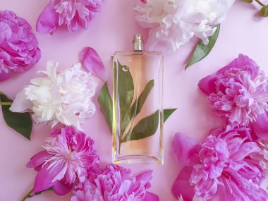 Renkli bir arka planda çiçek şakayığı