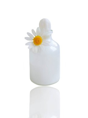 krem kozmetik papatya çiçeği beyaz arkaplanda izole edilmiş.