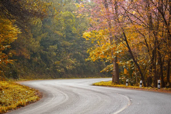 Romantic Road sonbahar ilkbahar seçme seyahat turizm güzel Doi Ang Khang, Chiang Mai, Tayland