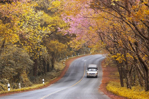 Romantic Road sonbahar ilkbahar seçme seyahat turizm güzel Doi Ang Khang, Chiang Mai, Tayland