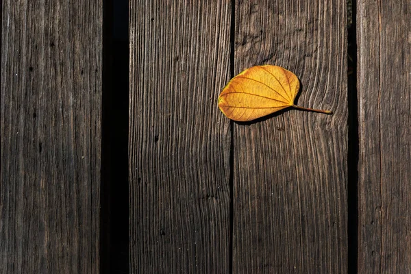 Wood Background dark brown texture and old one leaves autumn — Stock Photo, Image