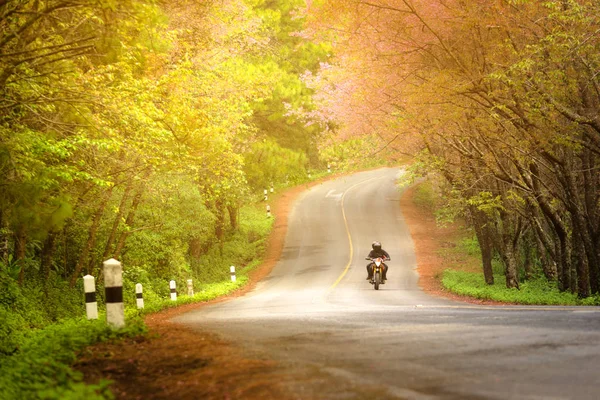 Seyahat turizm durağındayım viewl Doi Ang Khang, Chiang Mai, Tayland yol sonbahar ilkbahar romantik bir sahne bigbike çift tr
