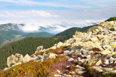 Karpatlar Güz