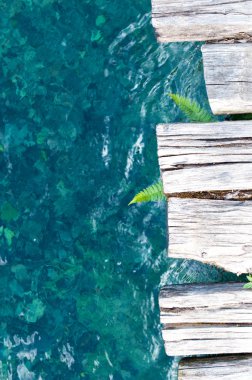 Şeffaf kristal su arka plan üzerinde eğreltiotu yaprakları