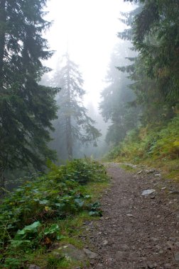 Puslu bir yolda bir siluet 