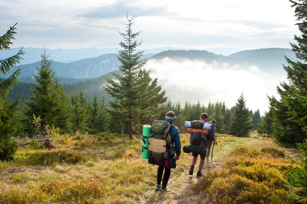 Tepeden aşağı indiğimiz yolcuları çam ağaçlarıyla kaplı