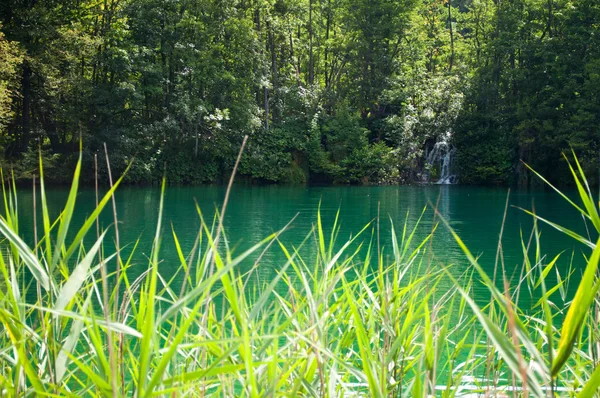 Lake with emerald water and a waterfall — Stock Photo, Image