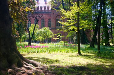 Chernivtsi National University yakınındaki Bahçe