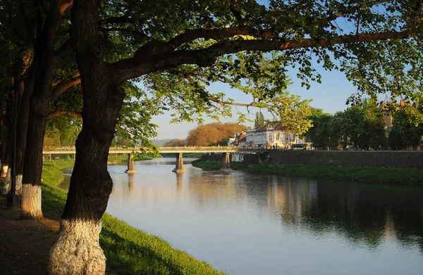 Ana köprüde nehrin Uzh göster