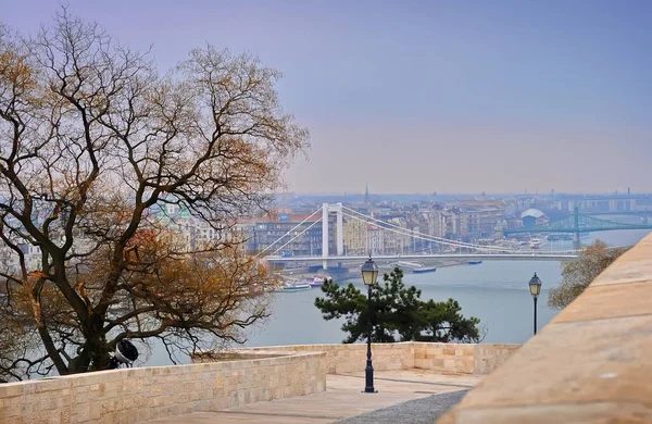 Vista Sobre Puente Elisabeth Río Danubio Las Casas Circundantes Pest — Foto de Stock