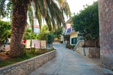 Rahat şehir, Bozava, Dugi otok, Hırvatistan. Küçük, dar sokak, bir büyük palm ev sahipliği yapmaktadır. Her şeyi ile gür yeşil yapraklar çerçeveli.