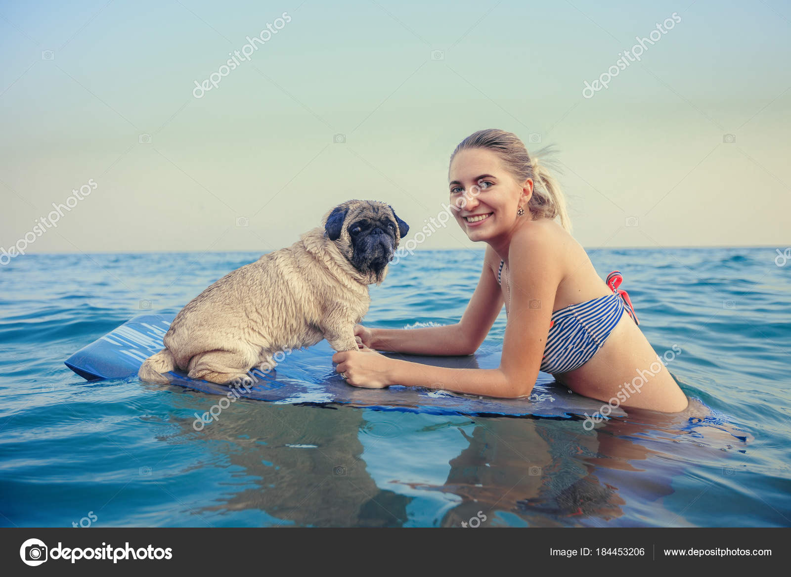 dog with girl funny