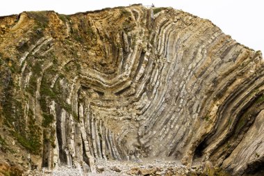 Folded strata on the Jurassic Coastline, Lulworth cove, Dorset, UK  clipart