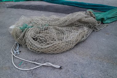 renkli balık ağlarına