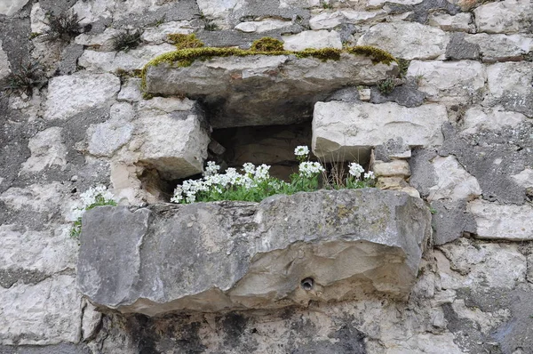 Pequena janela de pedra — Fotografia de Stock