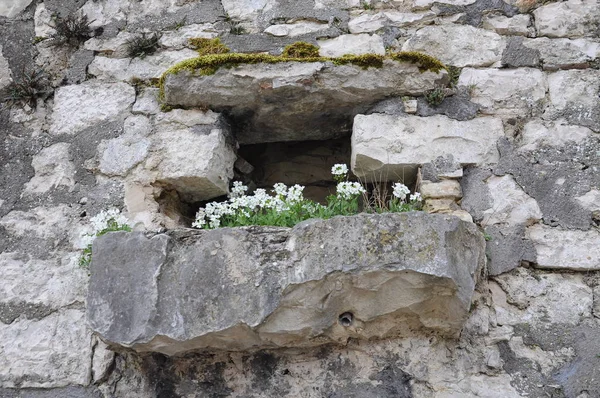 Pequeña ventana de piedra —  Fotos de Stock