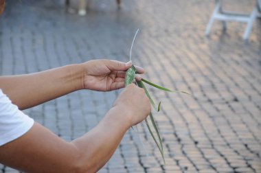 yaprakları dokuma eller