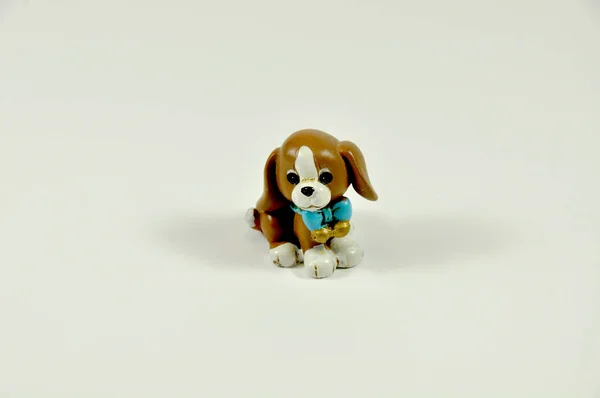 Маленькая декоративная собака — стоковое фото
