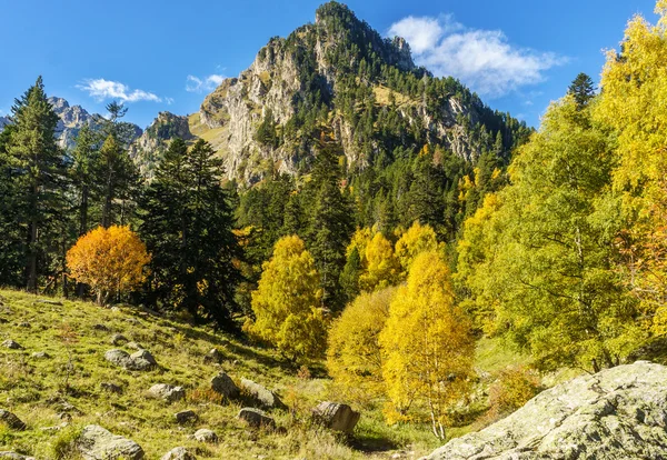 Catalonia Pyrenees sonbaharda