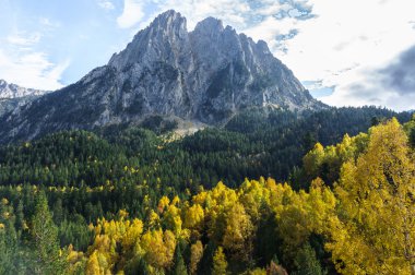 Görkemli Els Encants Güz.