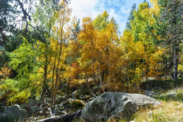 Katalanca Pyrenees sonbahar manzara.